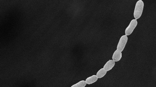 Tím vedcov z ministerstva energetiky USA (DOE),...