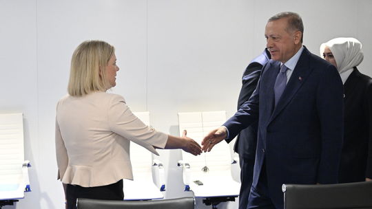 Turecko podporí vstup Fínska a Švédska do NATO