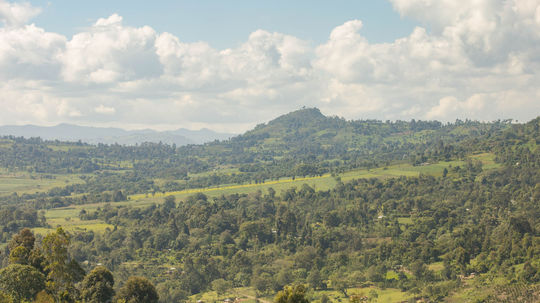 Kávové plantáže a políčka farmárov v horách...