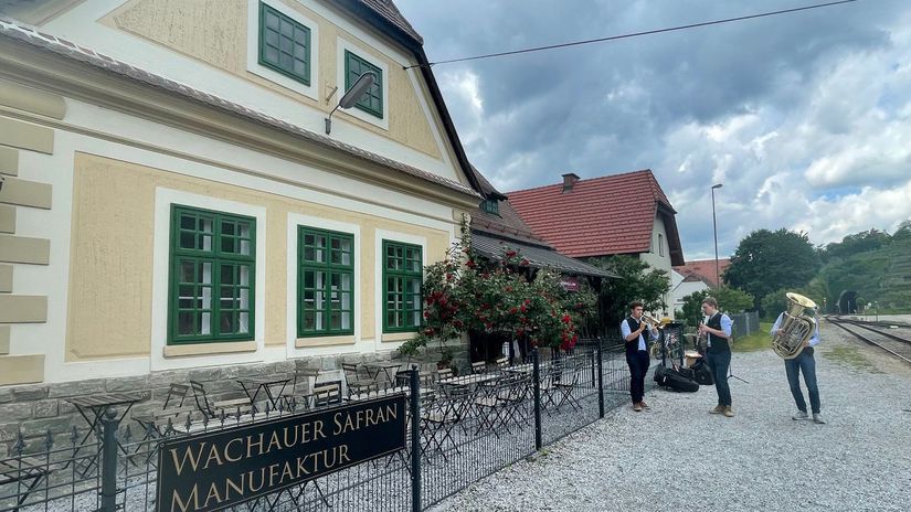 Miestni hudobníci pred šafranovou manufaktúrou...
