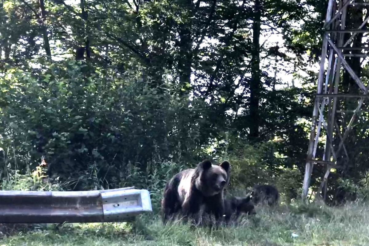 A toto je skutočný šok. Pri prechode Fagarašom...
