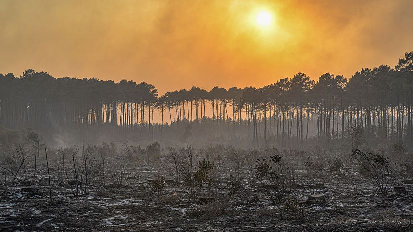 Francúzsko požiar spálenisko zhorený les