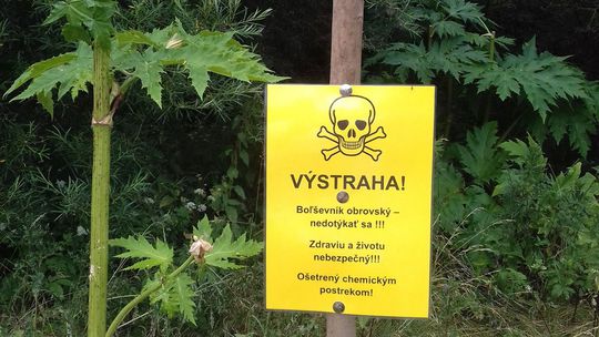 Pri Liptovskej Mare upozorňuje na boľševník aj...