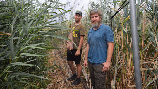 V lokalite s neoficiálnym názvom Hroboňovské...