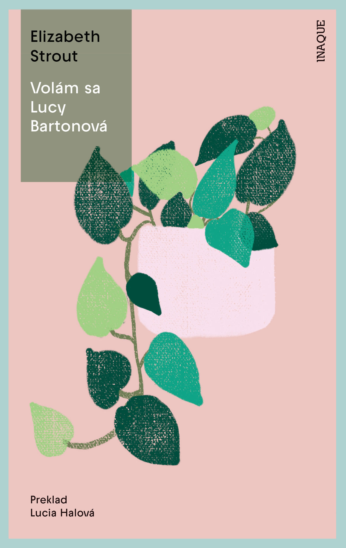 Elizabeth Strout: Volám sa Lucy Bartonová