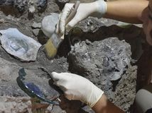 Archeologický objav v Pompejach ukazuje život...