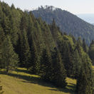 kopanec, luky, narodny park slovensky raj, kosenie, kosa, kosci, kosba