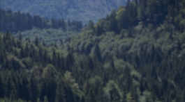 les, luka, kopanec, narodny park slovensky raj, kopanecke luky, kosenie, kosba