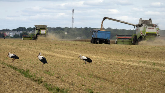 Na EÚ sa Ukrajina pri vývoze obilia spoľahnúť nemôže, Brusel nemá na to peniaze
