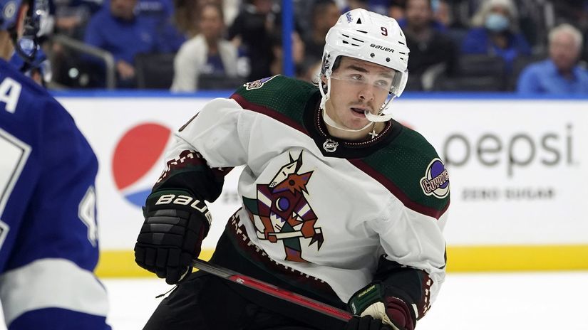 32. Arizona Coyotes - 58 073 375 dolárov...