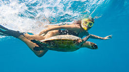 Maldivy, dovolenka, cestovanie, exotika, pláž, more, korytnačka, potápanie, šnorchlovanie