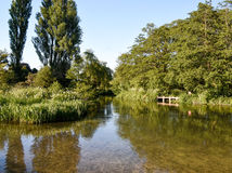 rieka Itchen