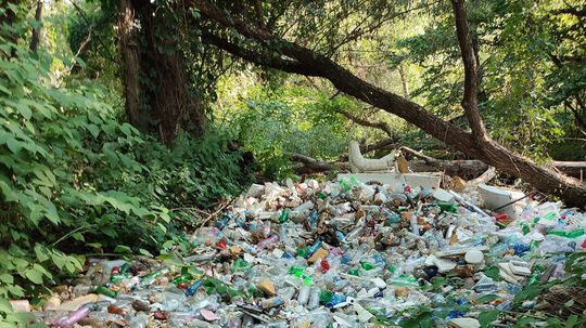 Toto určite nie je fotoshop ale realita pri...