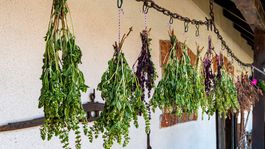 Farmaceutka: Používam bylinky maximálne do roka od ich zberu