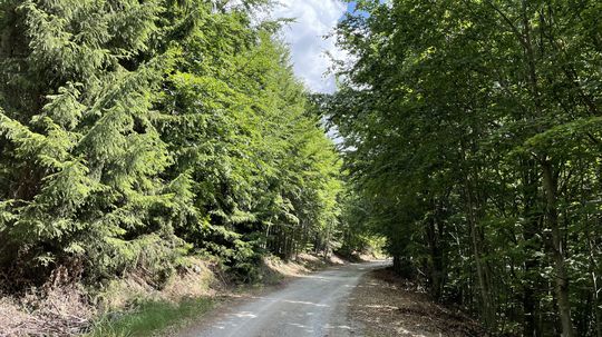 Cykloturistika - Kráľova skala