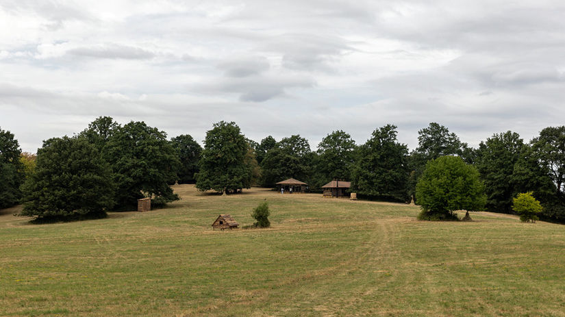 Statok sa rozprestiera na rozsiahlej lúke v...