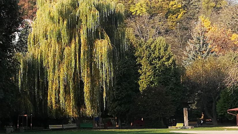 V Kolmanovej záhrade je ekopark, ktorý slúži...