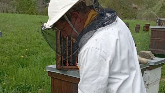 Včely potrebujú dennodennú starostlivosť. Jozef...