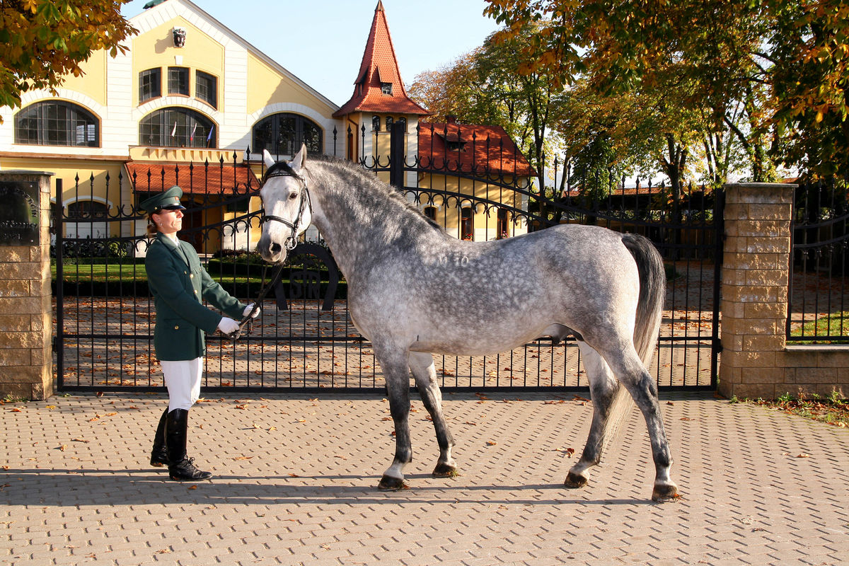 Alžbeta II. dostala od Ivana Gašparoviča...