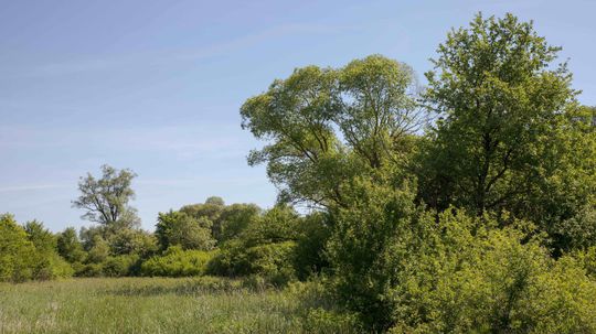 Do krajiny sa musia vrátiť mokrade.