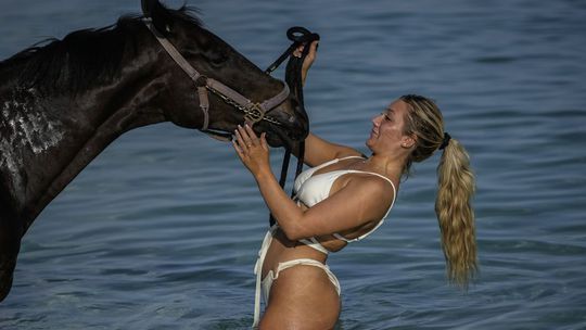 Turistka hladí koňa z dostihovej dráhy Garrison...