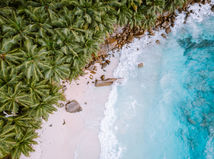 NEPOUZ, pláž, Seychely, dovolenka, ostrov, palmy, piesok