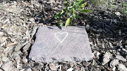 Miesto nebohého označia jednoduchou kamennou...