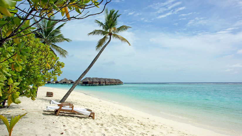 Maldivy