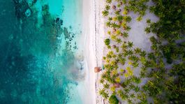 NEPOUZ, Riviera Maya, Cancún, Mexiko, pláž, more, exotika, palmy, dovolenka