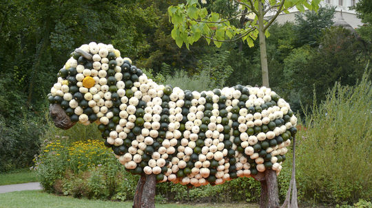 Aj takúto tekvicovú sochu bolo možné vidieť v...