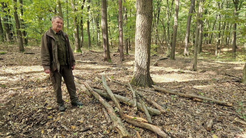 Konateľ mestských lesov v Lučenci Štefan...