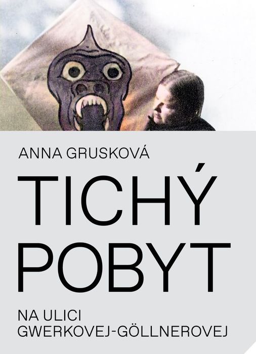 Anna Grusková: Tichý pobyt na ulici...
