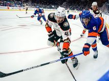 Ducks Islanders Hockey Regenda