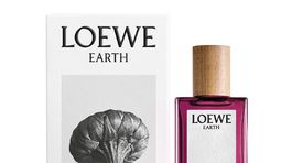 LOEWE Earth