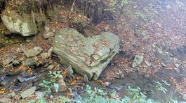 Srdce v chotári Stakčínskej Roztoky.