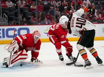 Regenda Anaheim NHL