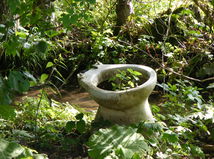 Maninsky stream, toilet bowl, waste