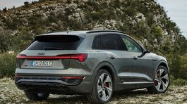 Audi Q8 e-tron quattro - 2022