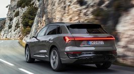 Audi Q8 e-tron quattro - 2022