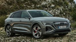 Audi Q8 e-tron quattro - 2022