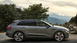 Audi Q8 e-tron quattro - 2022