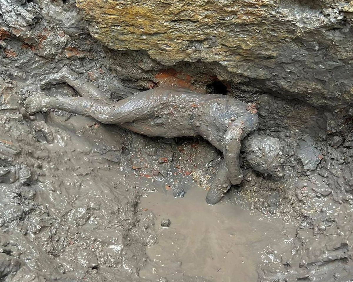 Vďaka bahnu a teplej vode sa nálezy zachovali...