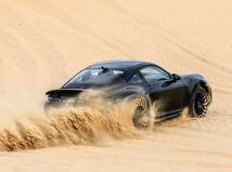 Porsche 911 Dakar - 2022