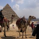 Egypt, ťava, Giza, pyramídy