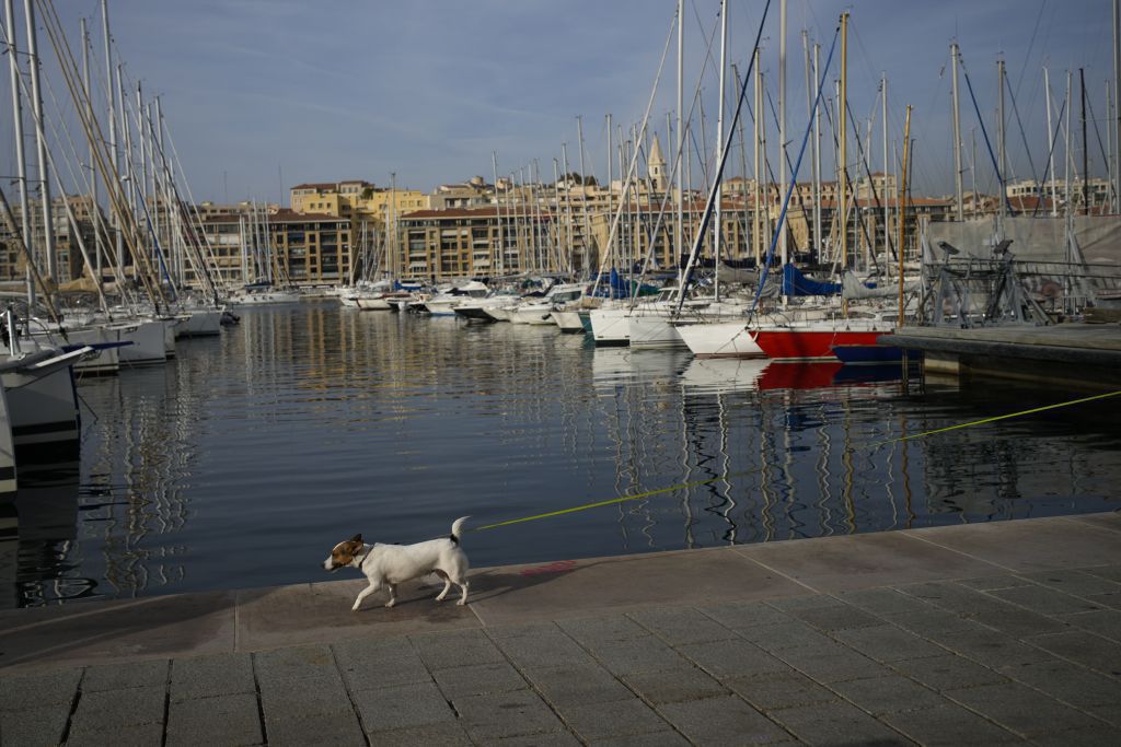 Francúzsko, lode, prístav, pes, Marseille