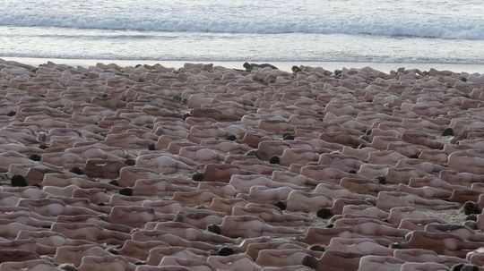 Na pláží v Sydney sa vyzlieklo 2 500 ľudí, aby...
