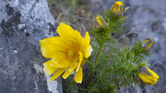 Krajina NP Slovenský kras v okolí Turnianskeho...