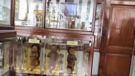 Anatomické múzeum, Bangkok