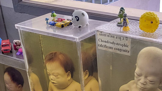 Detským exponátom v nádobách návštevníci nosia...