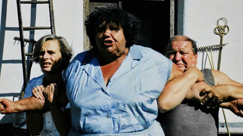 slunce, seno a pár facek,